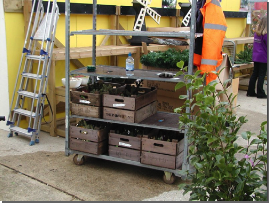 Bespoke Seed Trays
